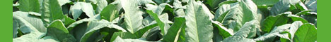 Welcome to Eco-agrotech.com Photo Albums